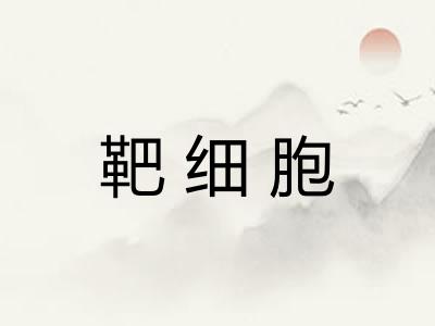 靶细胞 靶细胞