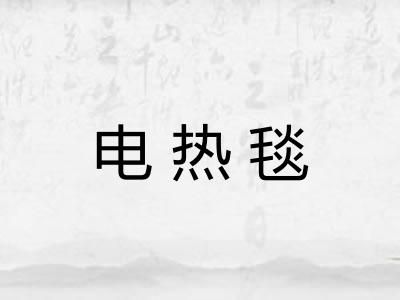电热毯