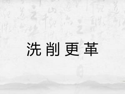 洗削更革