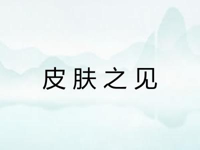 皮肤之见