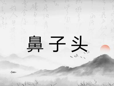 鼻子头
