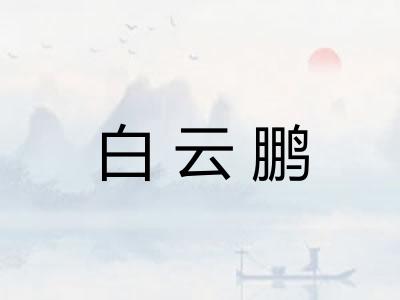 白云鹏