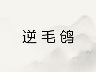 逆毛鸧