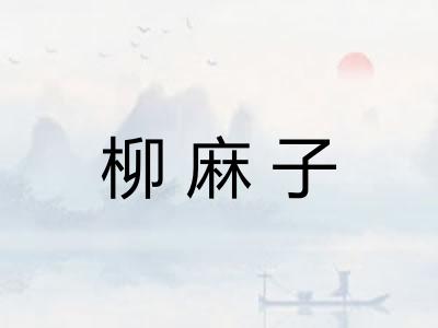 柳麻子