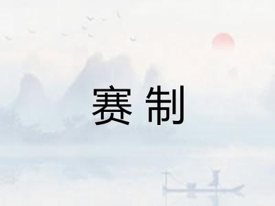 赛制
