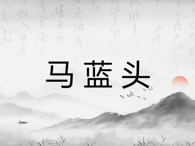 马蓝头