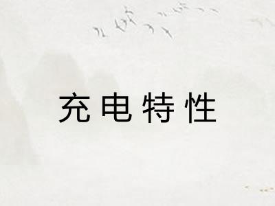 充电特性