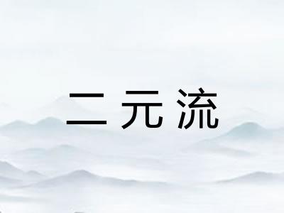 二元流