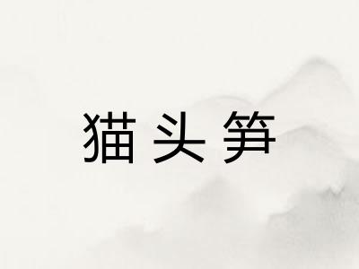猫头笋