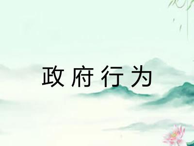 政府行为 政府行为