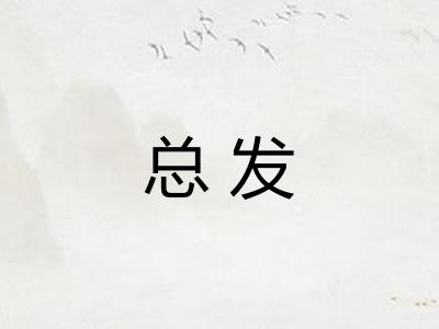 总发