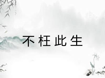 不枉此生 不枉此生