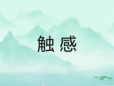 触感