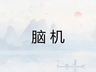 脑机 脑机