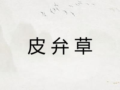 皮弁草