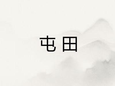 屯田