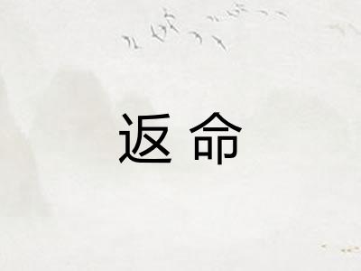 返命