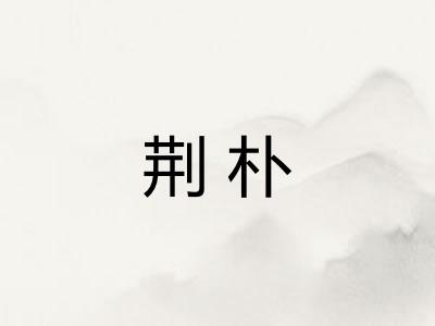 荆朴