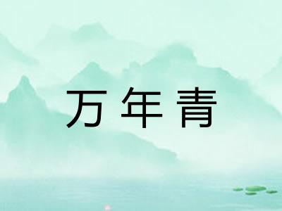 万年青