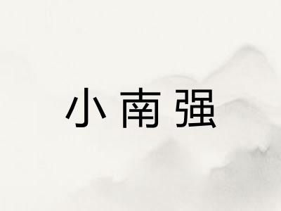 小南强