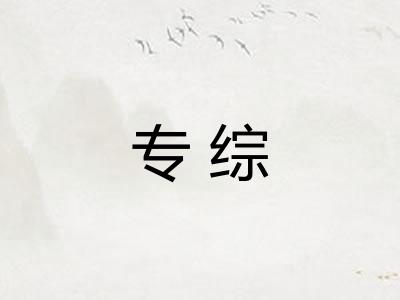 专综