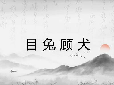 目兔顾犬