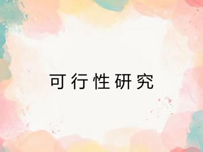 可行性研究 可行性研究
