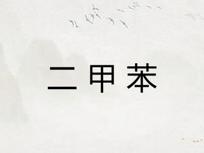 二甲苯