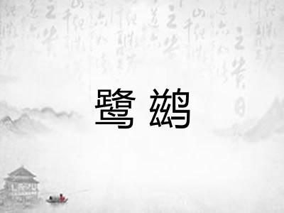 鹭鹚