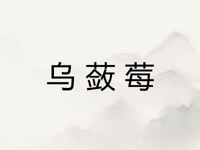 乌蔹莓