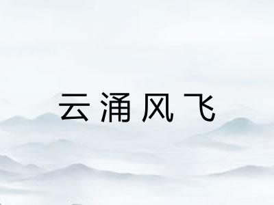 云涌风飞