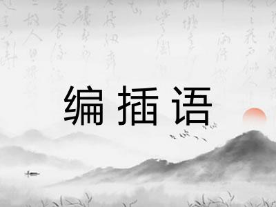 编插语 编插语