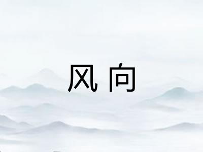 风向 风向