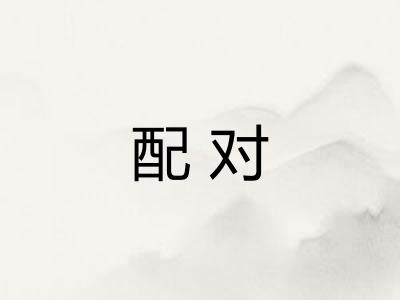 配对