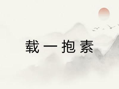 载一抱素