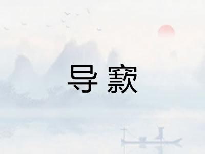 导窾