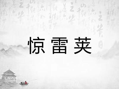 惊雷荚 惊雷荚
