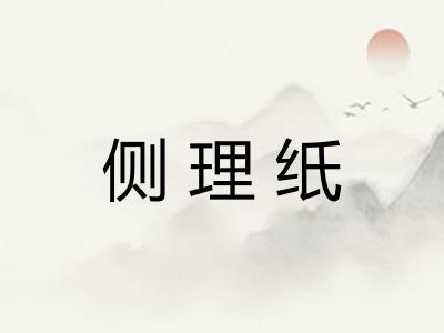 侧理纸