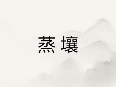 蒸壤
