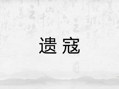 遗寇
