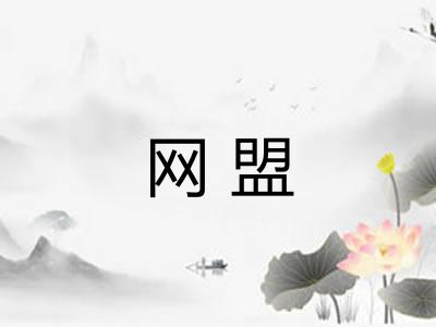网盟