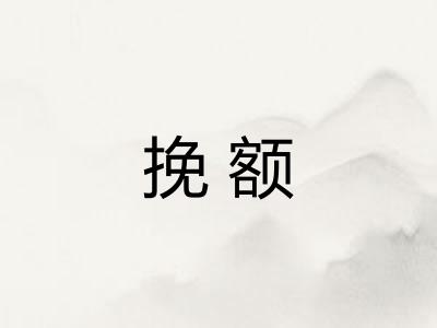 挽额
