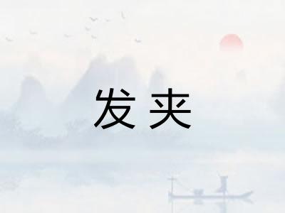 发夹 发夹