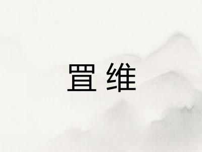 罝维