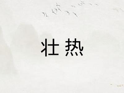 壮热