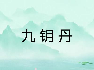 九钥丹