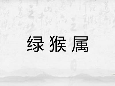 绿猴属