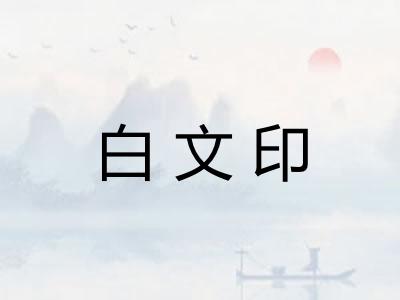 白文印