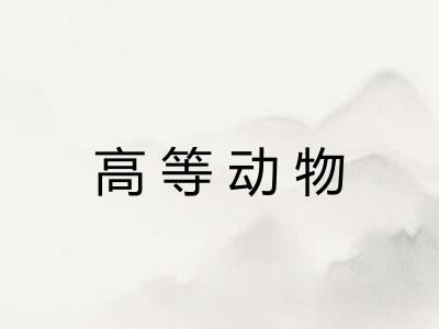 高等动物