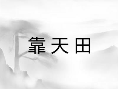靠天田